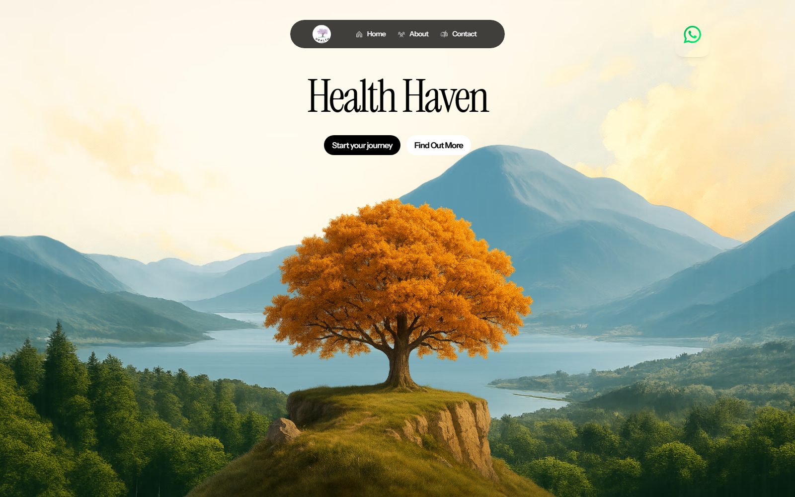Health Haven website built by Social Agencies